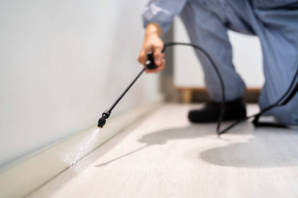 Licensed Termite Control service in Greeley County County, NE - Nex Pest Control